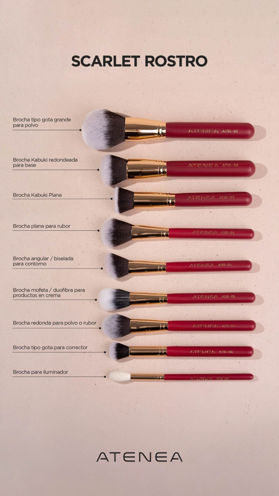 Brochas scarlet atenea ROSTRO X 9