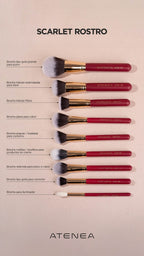 Brochas scarlet atenea ROSTRO X 9